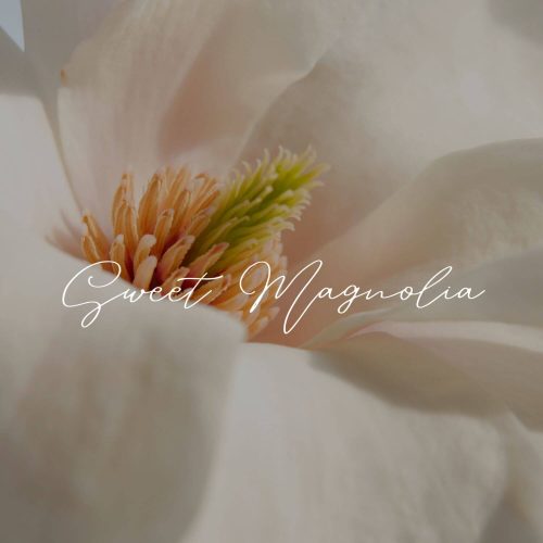 illatos-magnolia-masszazs.jpg